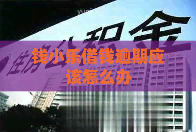 钱小乐借钱逾期应该怎么办