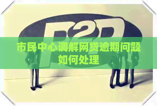 市民中心调解网贷逾期问题如何处理