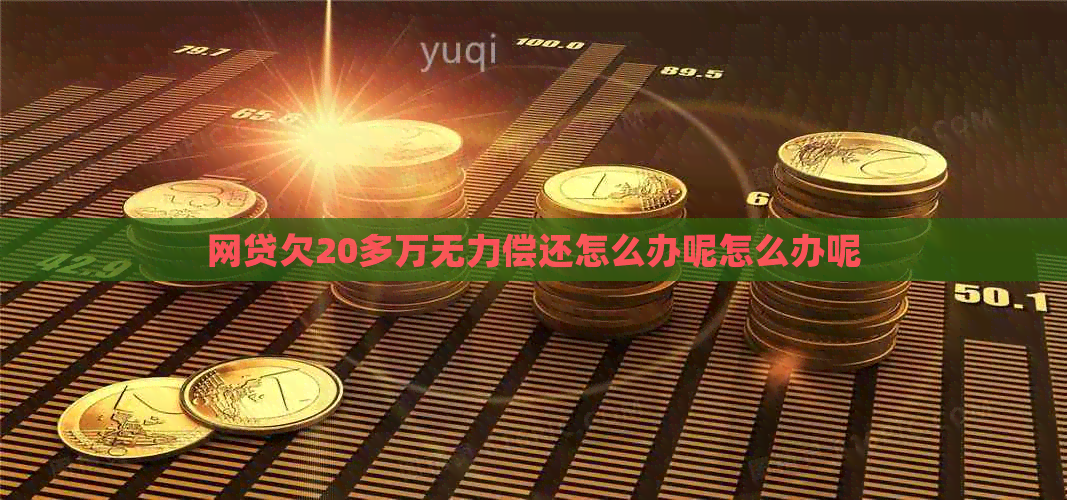 网贷欠20多万无力偿还怎么办呢怎么办呢