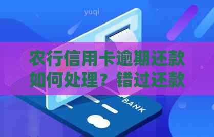 农行信用卡逾期还款如何处理？错过还款日的补救办法和注意事项