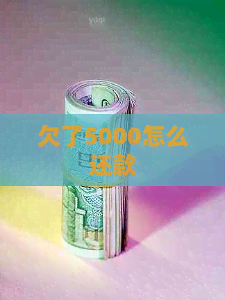 欠了5000怎么还款