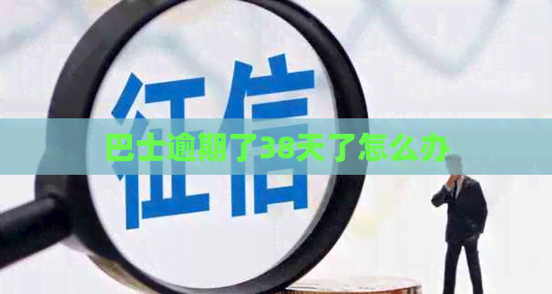 巴士逾期了38天了怎么办