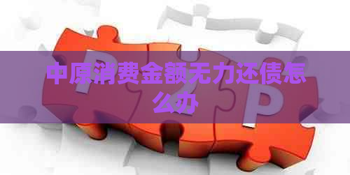 中原消费金额无力还债怎么办