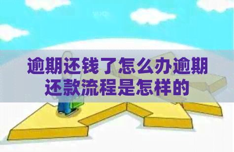 逾期还钱了怎么办逾期还款流程是怎样的