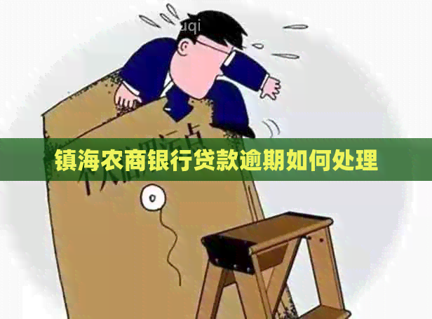 镇海农商银行贷款逾期如何处理
