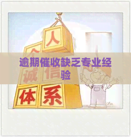 逾期缺乏专业经验 逾期缺乏专业经验