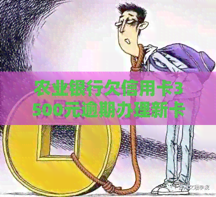 农业银行欠信用卡3500元逾期办理新卡及本金还款问题