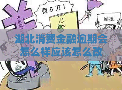 湖北消费金融逾期会怎么样应该怎么改写呢