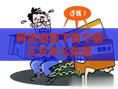 网贷逾期了有个第三方怎么处理