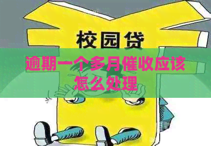 逾期一个多月应该怎么处理