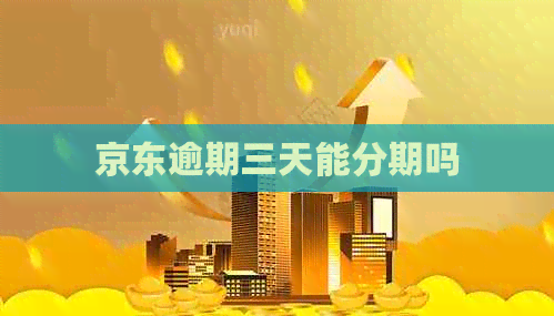 京东逾期三天能分期吗
