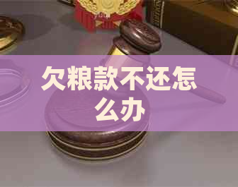 欠粮款不还怎么办