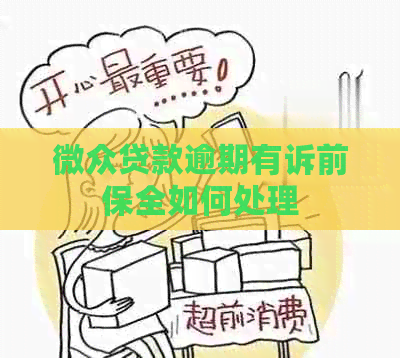微众贷款逾期有诉前保全如何处理
