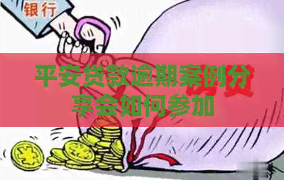 平安贷款逾期案例分享会如何参加