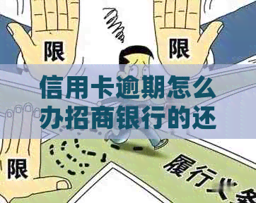 信用卡逾期怎么办招商银行的还款流程