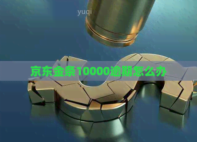 京东金条10000逾期怎么办