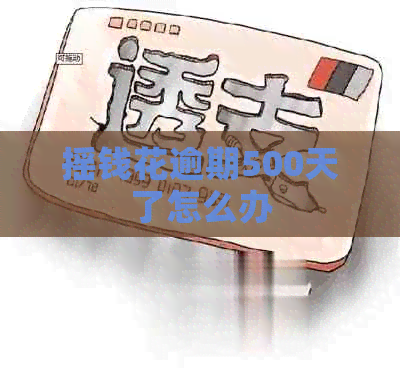 摇钱花逾期500天了怎么办