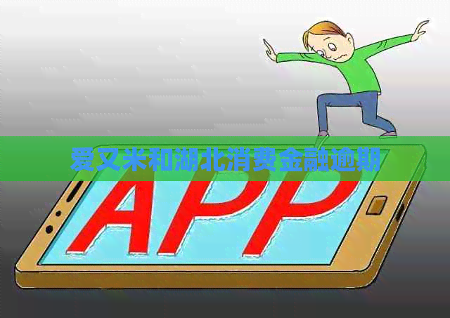 爱又米和湖北消费金融逾期