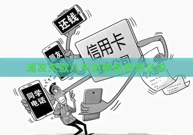 浦发欠款八千五被起诉怎么办