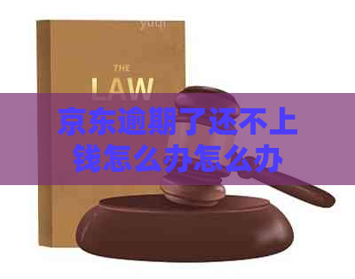 京东逾期了还不上钱怎么办怎么办