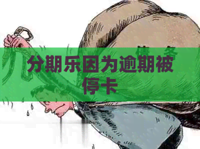 因为逾期被停卡