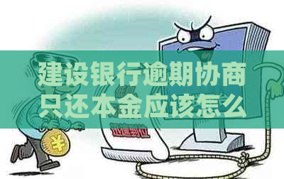 建设银行逾期协商只还本金应该怎么处理