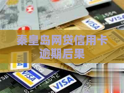 秦皇岛网贷信用卡逾期后果
