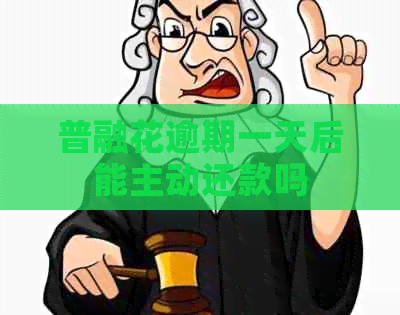 普融花逾期一天后能主动还款吗