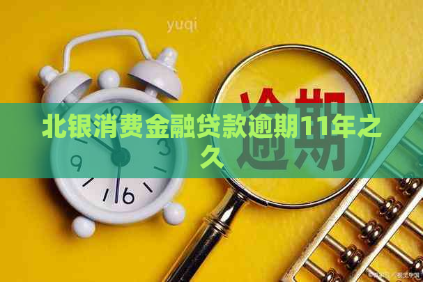 北银消费金融贷款逾期11年之久