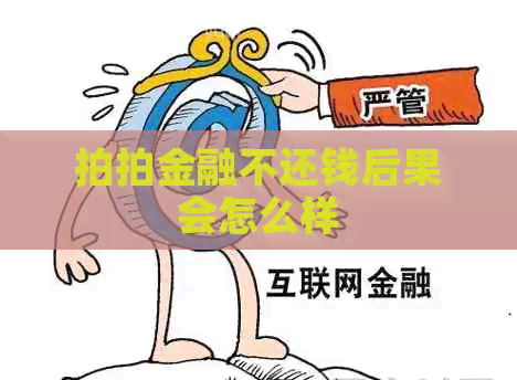 拍拍金融不还钱后果会怎么样