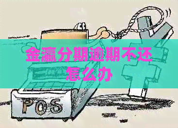 金瀛分期逾期不还怎么办