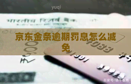 京东金条逾期罚息怎么减免