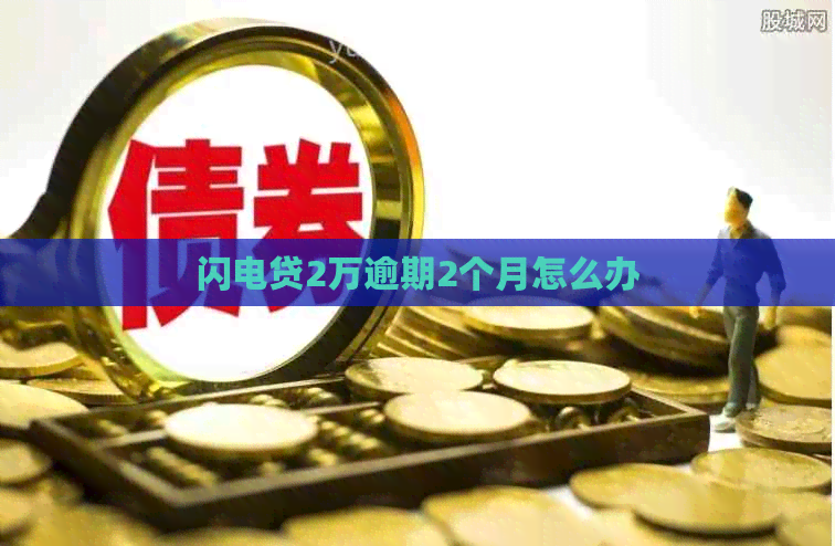 闪电贷2万逾期2个月怎么办