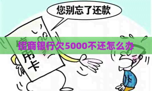 招商银行欠5000不还怎么办