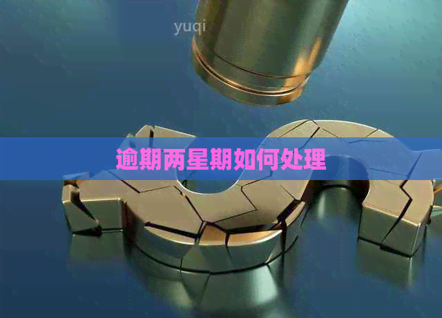 逾期两星期如何处理