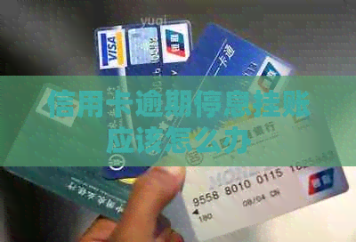 信用卡逾期停息挂账应该怎么办