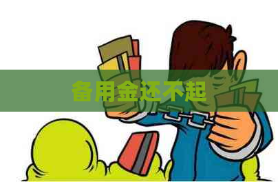 备用金还不起