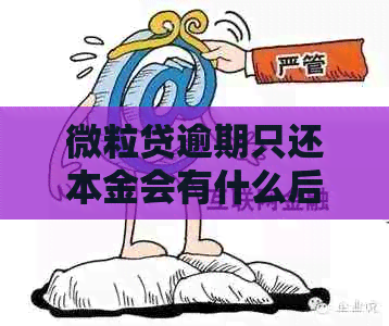 微粒贷逾期只还本金会有什么后果