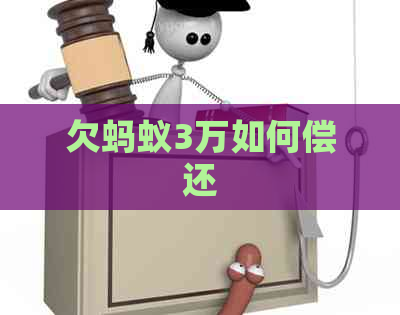 欠蚂蚁3万如何偿还