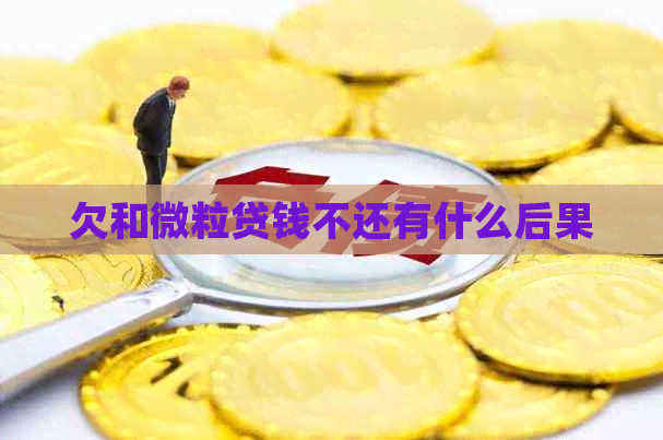 欠和微粒贷钱不还有什么后果