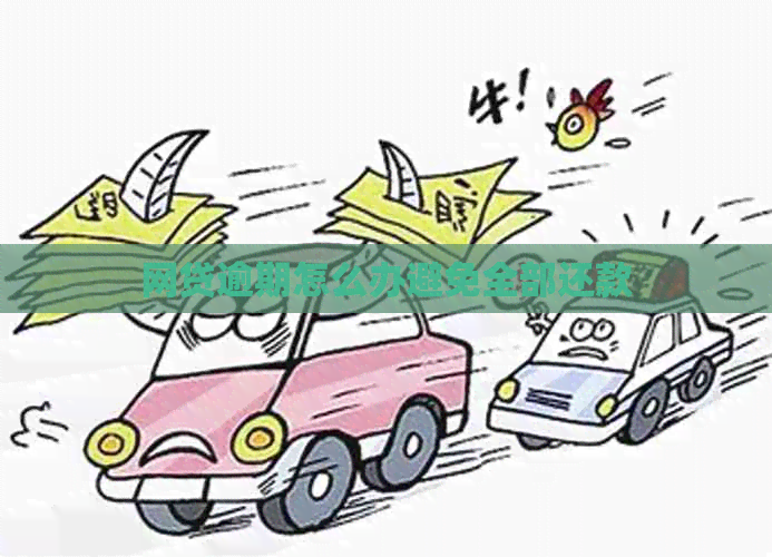 网贷逾期怎么办避免全部还款