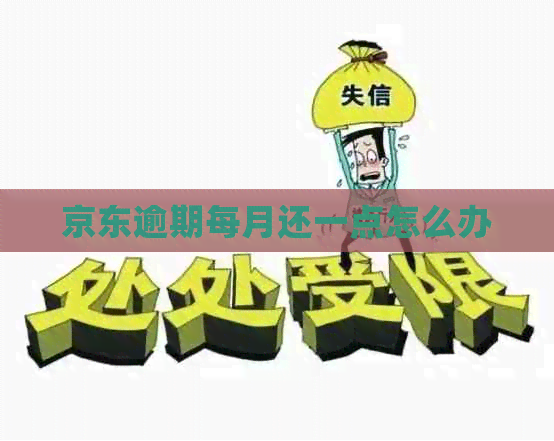 京东逾期每月还一点怎么办