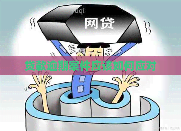 贷款逾期案件应该如何应对