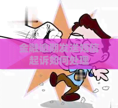 金融逾期发送短信起诉如何处理