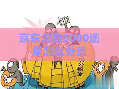 京东欠款5000逾期怎么处理