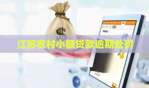 江苏农村小额贷款逾期处罚