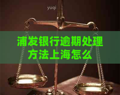 浦发银行逾期处理方法上海怎么