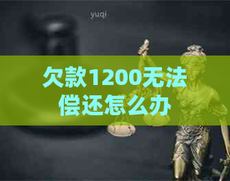 欠款1200无法偿还怎么办