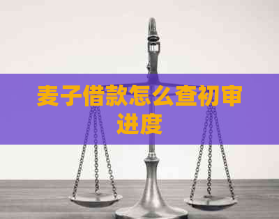 麦子借款怎么查初审进度