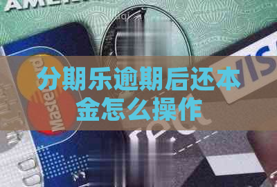 逾期后还本金怎么操作